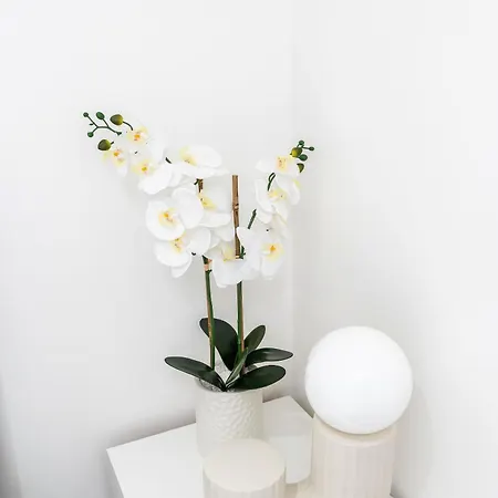 Modern 1 Bed Flat Apartment *